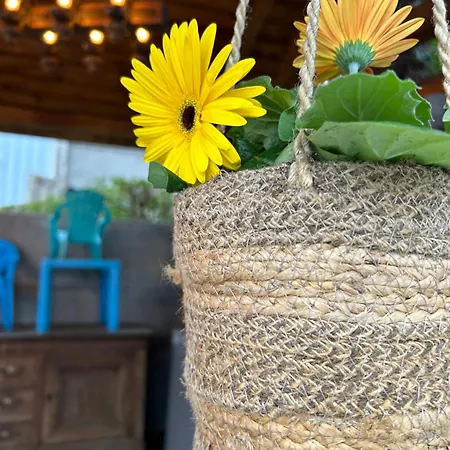 Terrain De Loisirs En Plein Centre De Car Liévin