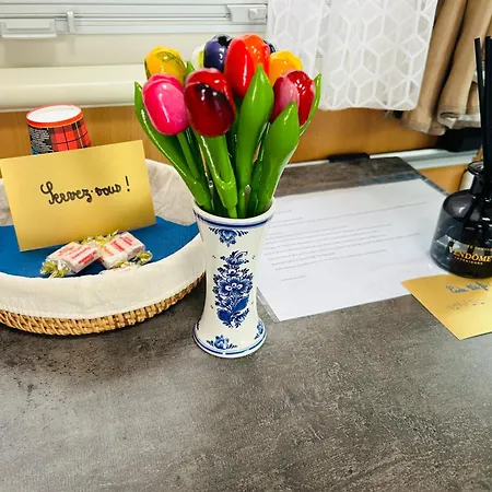 Terrain De Loisirs En Plein Centre De Car